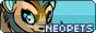 Neopets